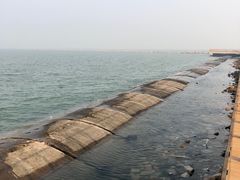 -东疆建设开发纪念公园