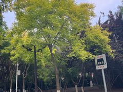 -南翠屏公园
