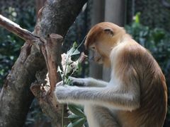 -广州长隆野生动物世界