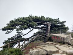 -罗田薄刀峰风景区