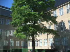 -丹麦国家博物馆