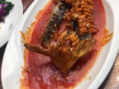 -清真悦宾楼食府(海湖店)