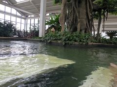-太白山御龙湾温泉