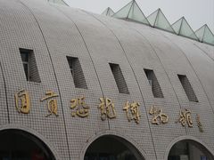 -自贡恐龙博物馆