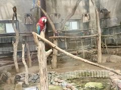 -大连森林动物园