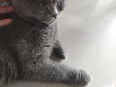 -平行世界·猫咖(首经贸店)