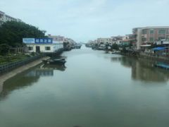 -大湾区中央湿地公园