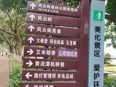 -风云岭森林公园