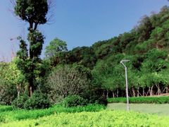 -飞凤山奥体公园