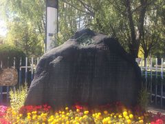 -罗布林卡