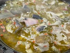 -鲜椒鱼·雅安地标性美食