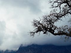 -玉龙雪山蓝月谷