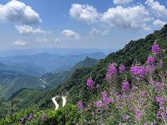 -白草畔自然风景区