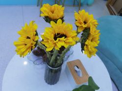 -斐尔国际皮肤管理中心