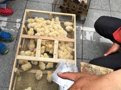 -南京君和堂中医门诊部