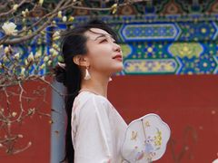 -护国法轮寺
