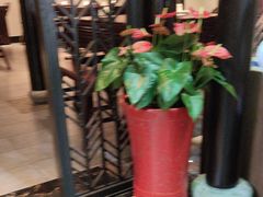 -松鹤楼(山塘街店)