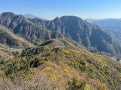 -大岭沟猕猴桃谷风景区