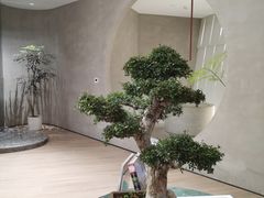 -二酉书店TOYOU BOOKS