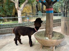 -石家庄市动物园