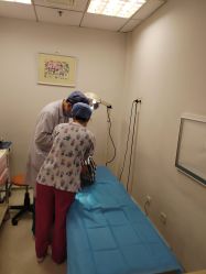 -北京新世纪儿童医院