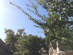 -莲池书院博物馆