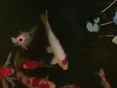 -濮园 · 四合院餐厅