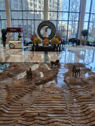 -今日陶艺(富力广场店)