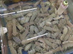 -明记海鲜大排档(巽寮湾店)