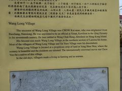 -南丫岛