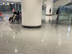 -麦当劳(北京大兴机场二层国内到达(安检外)店)