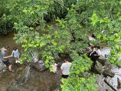 -重庆彩云湖湿地公园