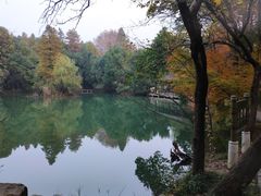 -东湖落雁景区