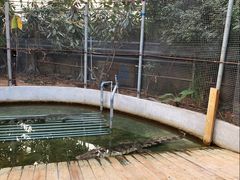 -呀路古热带植物园