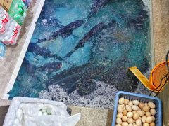 -旭龙鱼头王(航华店)