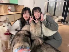 -Husky Go! 哈士奇体验馆·宠物咖啡厅狗咖