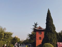 -洛阳白马寺