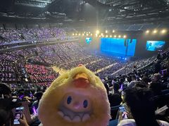-梦之蓝青奥体育公园体育馆