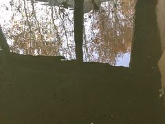 -楼观道温泉酒店