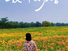 -汉长安城未央宫国家考古遗址公园