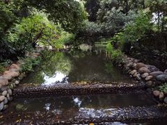 -成都市活水公园