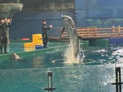 -威海华夏城景区