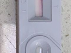 -瑞鹏宠物医院·宠保定点·心脏科·内科(御桥分院)