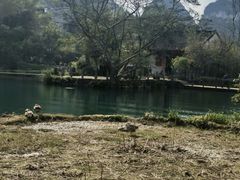 -靖西鹅泉风景区