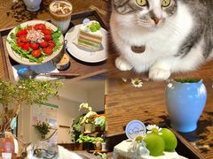 -echoes coffee回响咖啡(888街店)