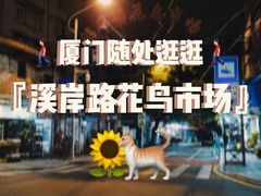 -溪岸路花鸟市场