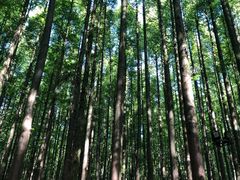 -山王坪喀斯特国家生态公园