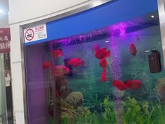-雅悦齿科(顾村公园店)
