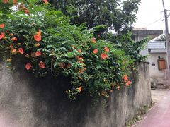 -西溪南古村落