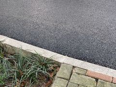 -金花茶公园